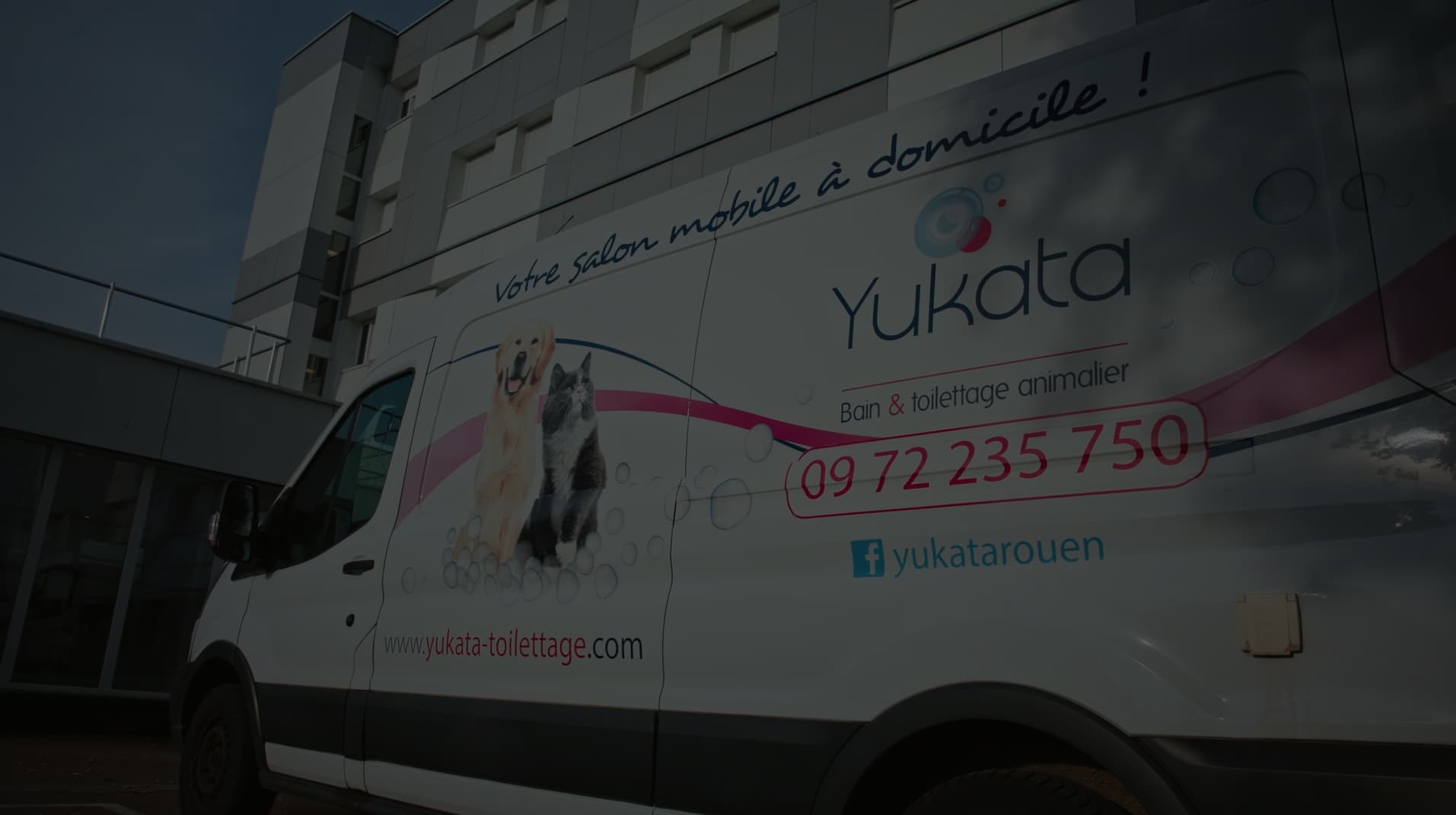 Yukata - Salon mobile de toilettage animalier